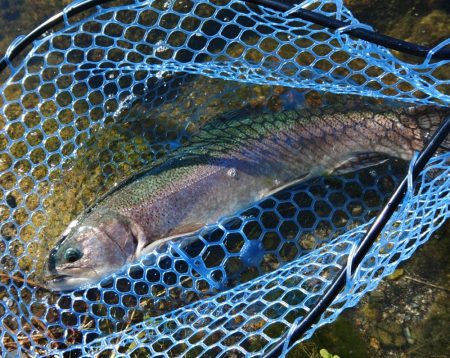 三桁釣果に大物もキャッチ！